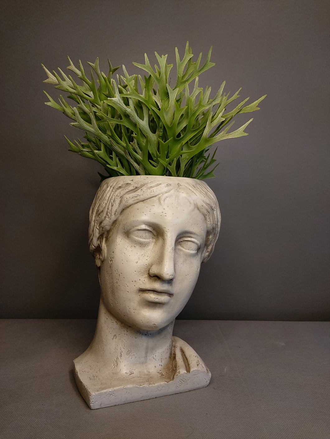 Venus Head Planter