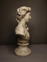 Load image into Gallery viewer, Venus Bust Planter
